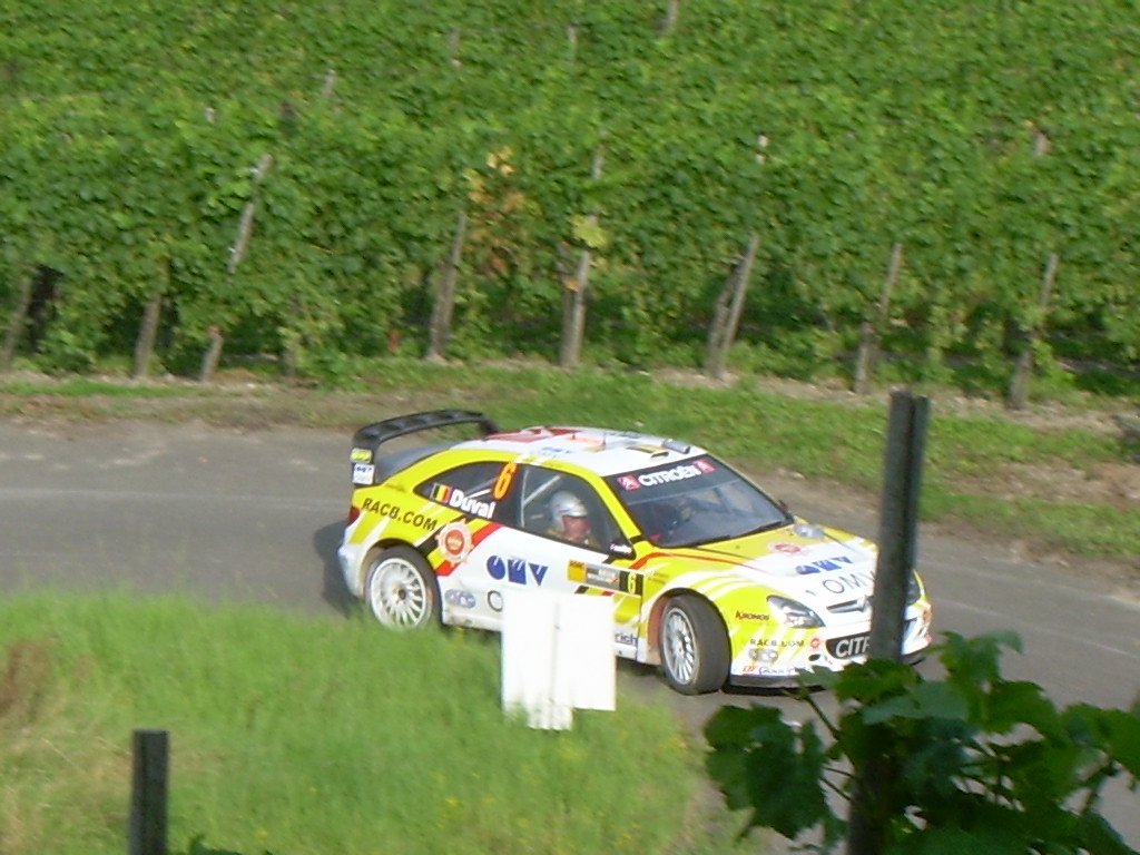 ADAC Rally Deutschland 2007 238.jpg
